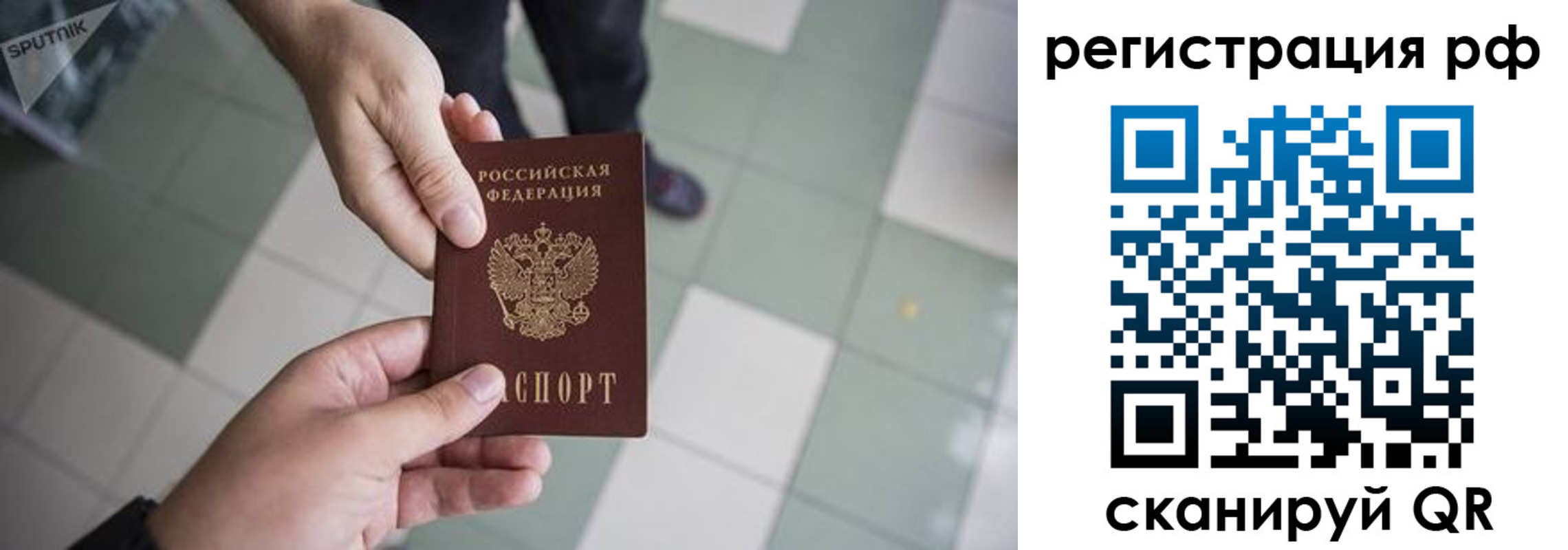 прописка гарантия в Ртищево